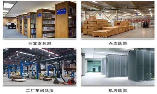 為什么竹筍烘干房需要除濕機(jī)？