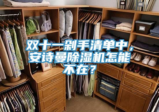 雙十一剁手清單中，安詩曼除濕機怎能不在？