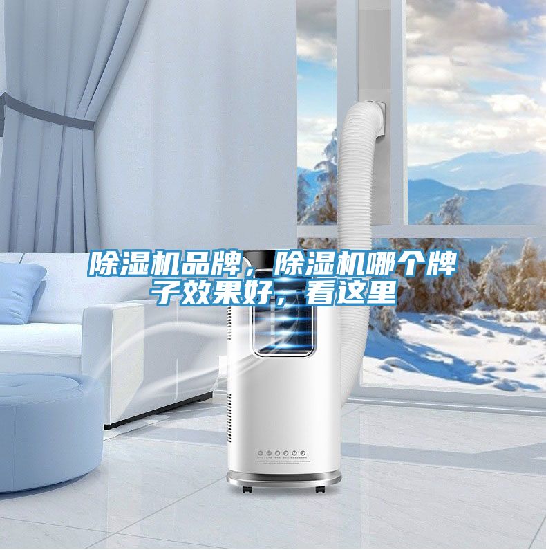 除濕機(jī)品牌，除濕機(jī)哪個(gè)牌子效果好，看這里