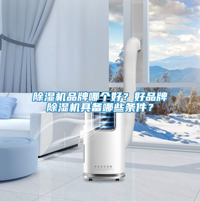 除濕機品牌哪個好？好品牌除濕機具備哪些條件？