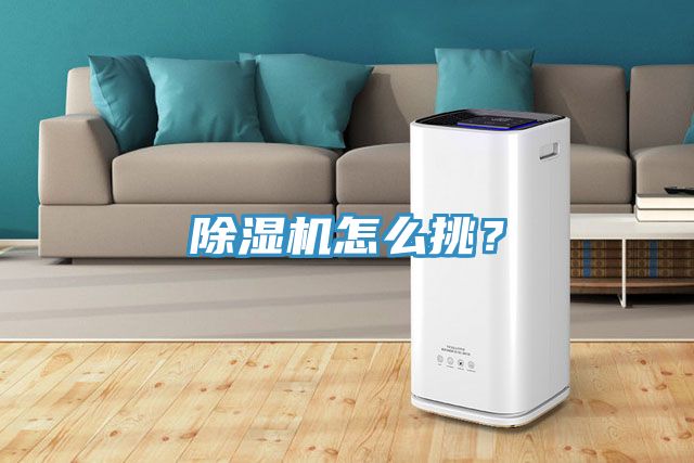 除濕機(jī)怎么挑？