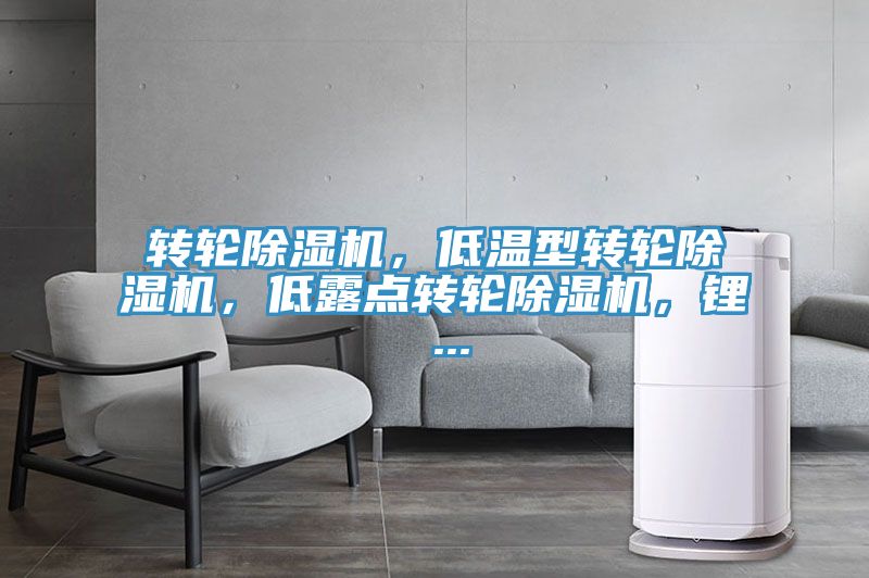 轉輪除濕機，低溫型轉輪除濕機，低露點轉輪除濕機，鋰 ...